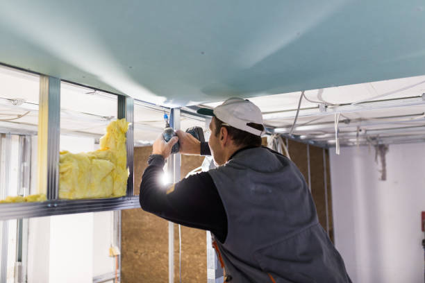Best Cellulose Insulation  in Piketon, OH